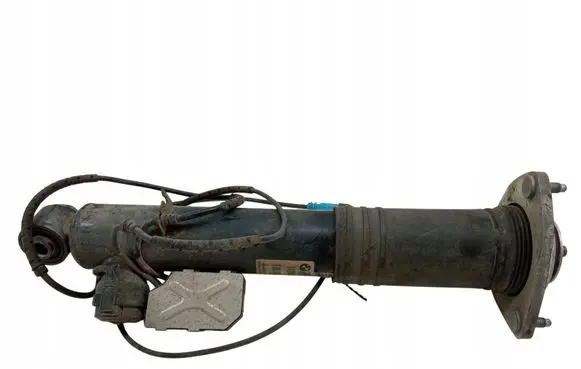 BMW X6 E71 Front shock absorber/damper 6794549