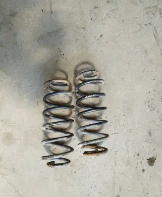 Rear coil spring