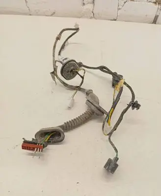 Rear door wiring loom