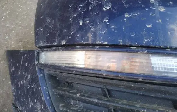 Volkswagen PASSAT B6 Front indicator light