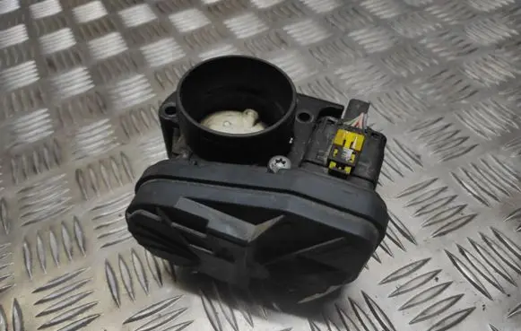 Citroen Berlingo Throttle valve 3100173016 000806081996