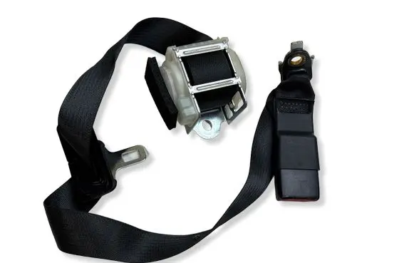 Dodge Charger Rear seatbelt 2453826