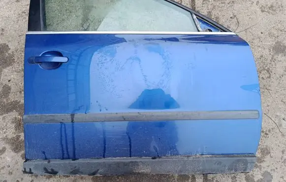 Volkswagen PASSAT B5.5 Front door 