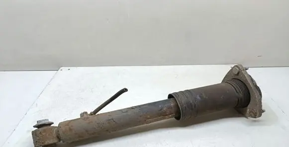 BMW X5 E70 Rear shock absorber/damper 6782877 33526782877