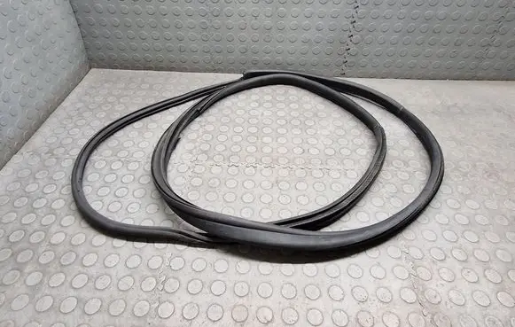 BMW i3 Front door rubber seal 7301742