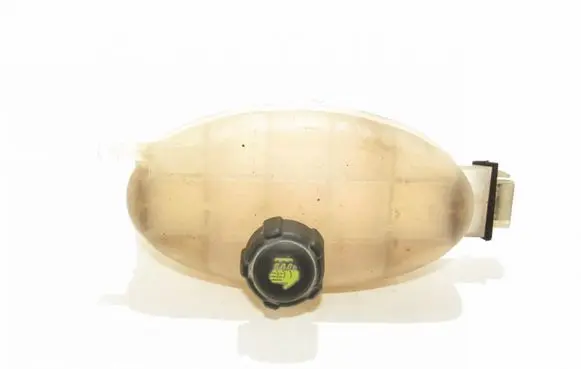 Renault Trafic II (X83) Coolant expansion tank/reservoir 7700312900