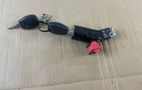 Dacia Dokker Ignition lock 487009602r