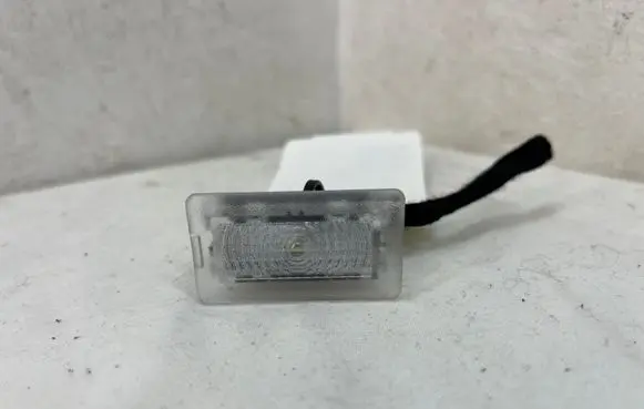 Tesla Model 3 Front seat light 100715170E