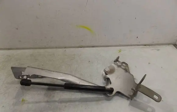 Renault Scenic III - Grand scenic III Engine bonnet/hood hinges