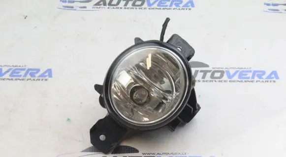 BMW X5 E70 Front fog light 7184317