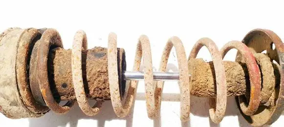 Rear coil spring