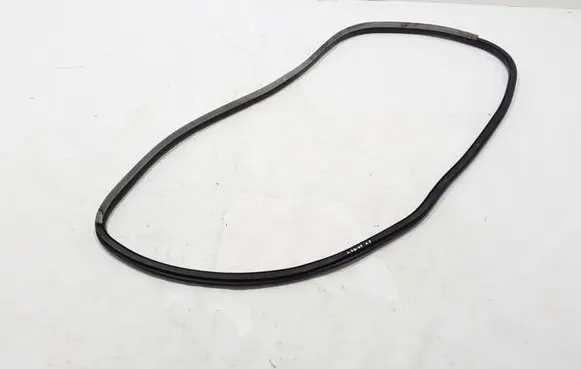 Renault Laguna III Front door rubber seal 808330001R
