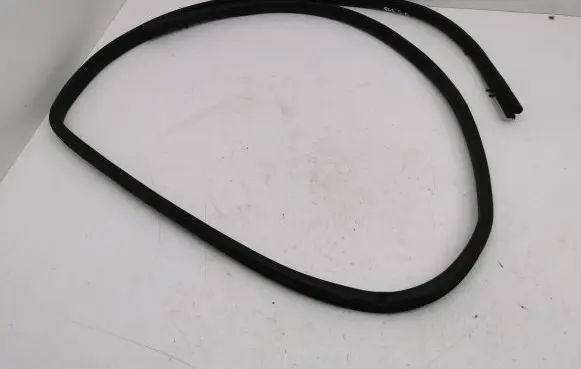 Rear door rubber seal (on body)