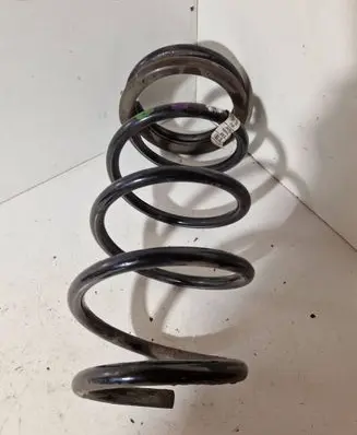 Rear coil spring