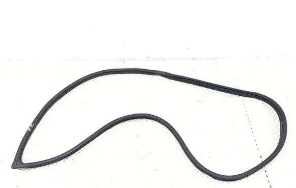 Hyundai Tucson TL Rubber seal front door (on door)