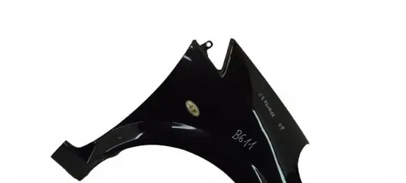 Citroen C3 Pluriel Fender