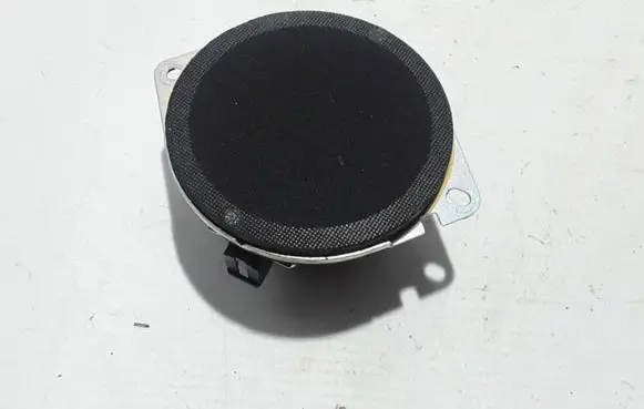 Front door high frequency speaker