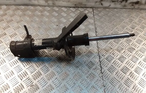 Opel Astra H Front shock absorber/damper 22214598