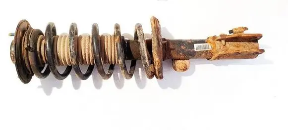 Opel Antara Front shock absorber/damper