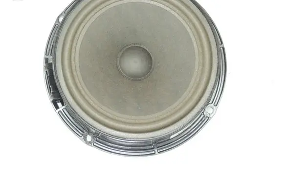 Volkswagen Tiguan Rear door speaker 5N0035453A