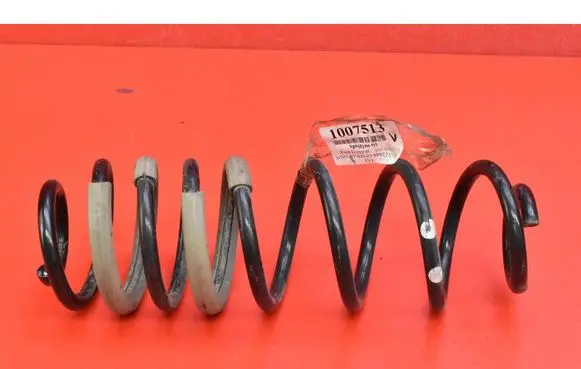 Rear coil spring