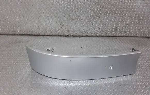 Rear/tail light trim molding