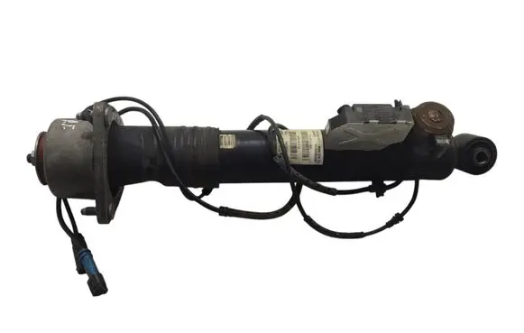 BMW X6 E71 Rear shock absorber/damper 6785405