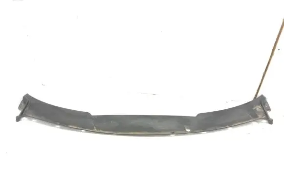 Renault Avantime Wiper trim 6025401192