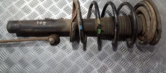 Peugeot 206 Front shock absorber/damper