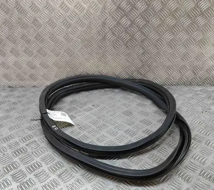 Mercedes-Benz EQE v295 Rubber seal rear door A2956970400