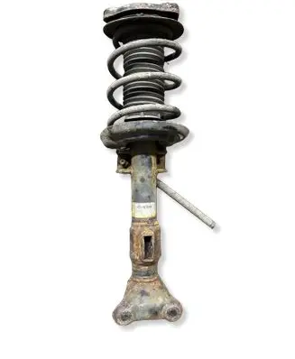 Mercedes-Benz E C207 W207 Front shock absorber/damper 22197849