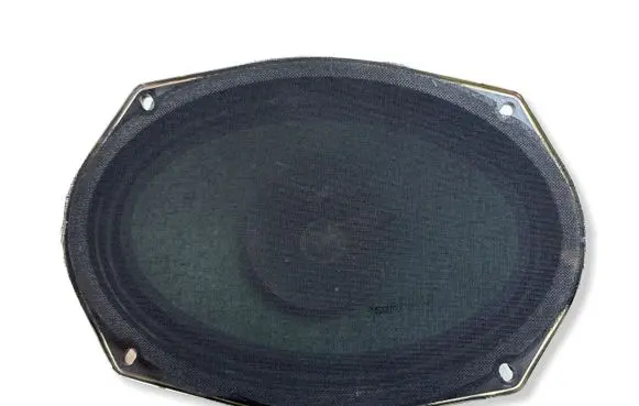 Dodge Charger Front door speaker 05091019AB