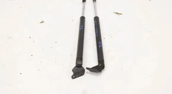Tailgate strut