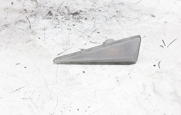 Renault Scenic II - Grand scenic II Front fender indicator light