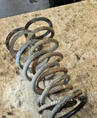 Rear coil spring