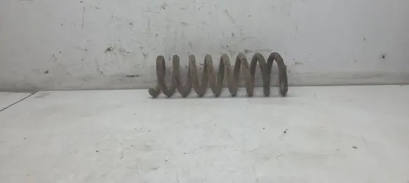 Rear coil spring