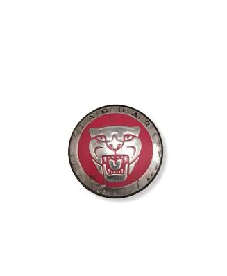 Jaguar I-Pace Original wheel cap AW9M1A096AA