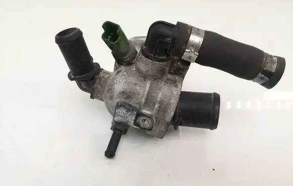 Thermostat/thermostat housing