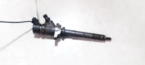 Ford Focus Fuel injector 0445110239 05d1