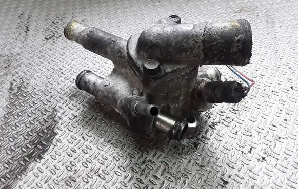 Thermostat/thermostat housing