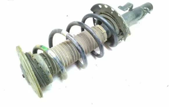 Land Rover Discovery Sport Front shock absorber with coil spring FK7218045AD