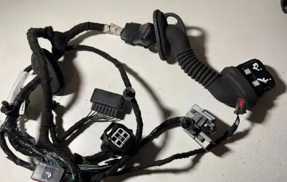 Front door wiring loom