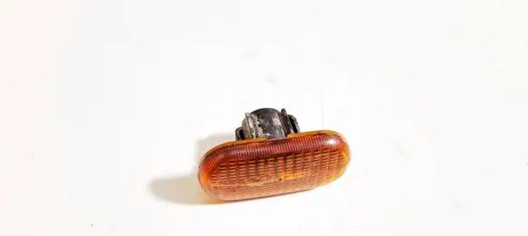 Front fender indicator light