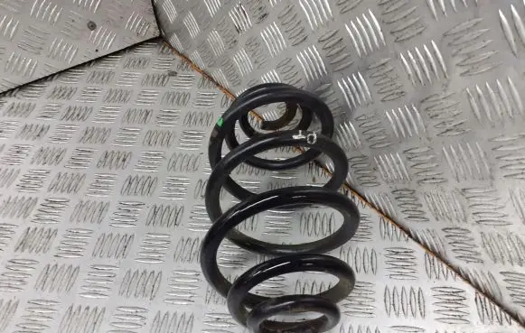 Volkswagen PASSAT B5.5 Rear coil spring