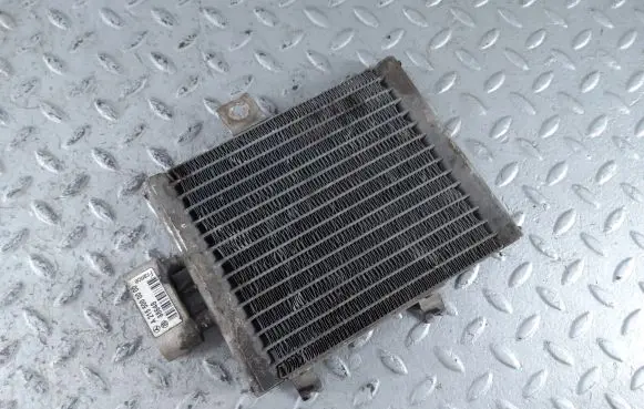 Mercedes-Benz CL C215 Engine oil radiator A2155000000 2155000000