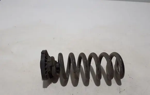 Mercedes-Benz AMG GT 4 x290 w290 Rear coil spring A2903240400