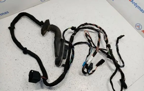BMW X1 E84 Front door wiring loom 9269947 61129269947