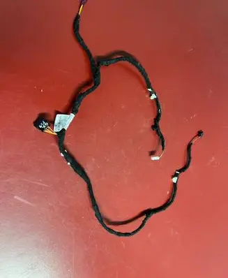 Rear door wiring loom