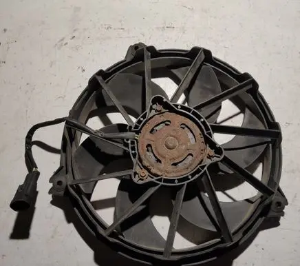 Citroen C8 Electric radiator cooling fan 1494742080