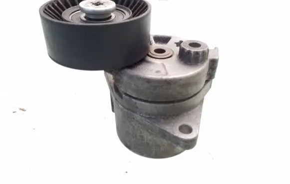 Mercedes-Benz C W202 Generator/alternator belt tensioner A6112000370